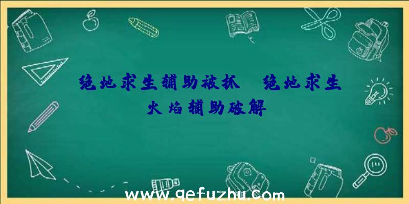 「绝地求生辅助被抓」|绝地求生火焰辅助破解